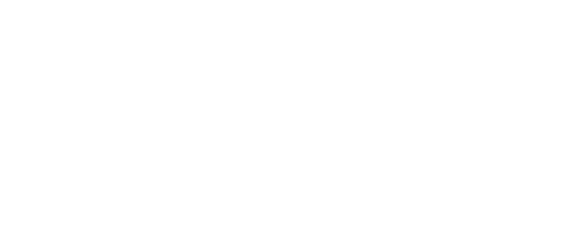 Ski